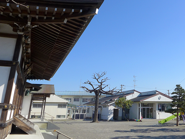 河輪幼稚園 広大な園庭にて