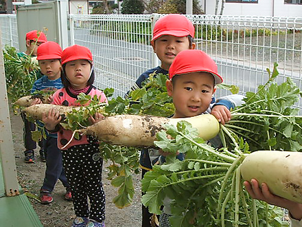 運動会・遠足